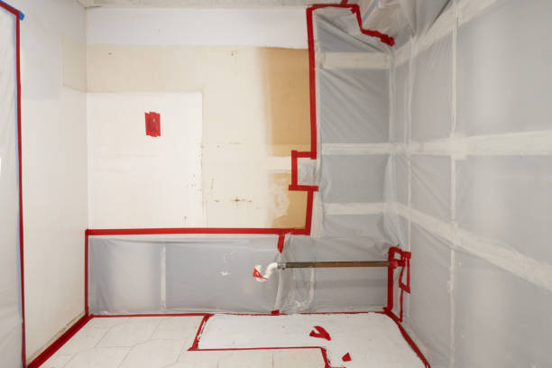 Trusted Auburn Hills, MI Mold Removal Experts