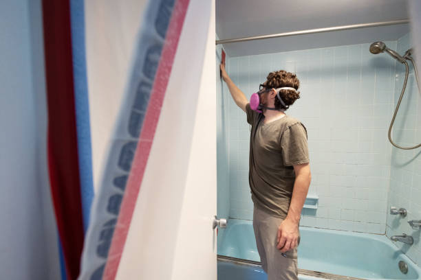 Best Emergency Mold Remediation  in Auburn Hills, MI