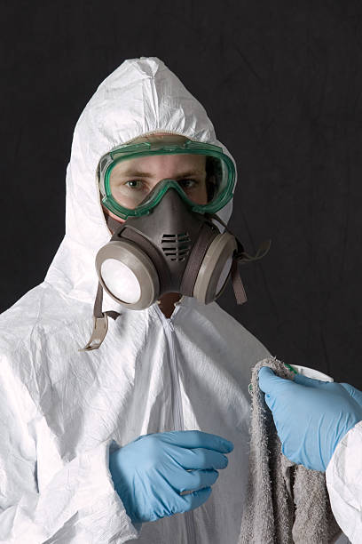 Best Mold-Related Health Consultation  in Auburn Hills, MI